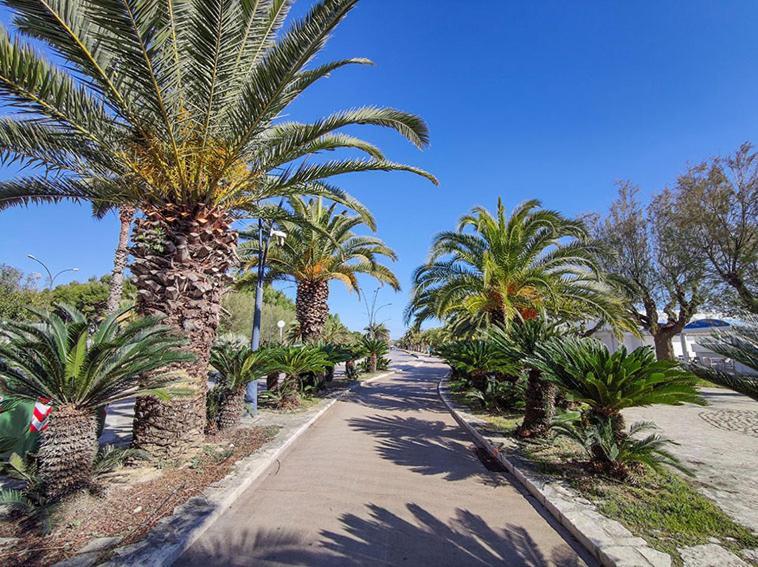 Bilocale Damiani A Due Passi Dal Mare Holiday home *